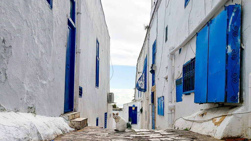 Tunizija (63)